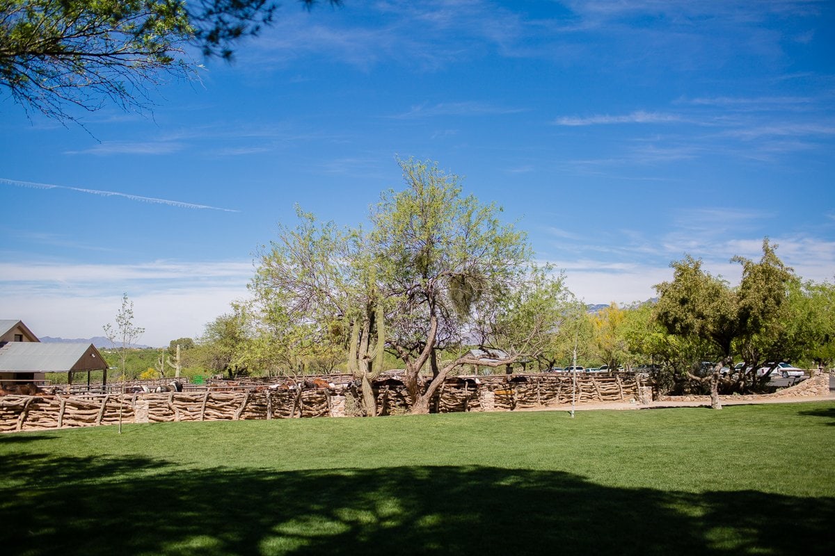 Spring Breakin’ Tucson Style At Tanque Verde Ranch Spring Breakin’ Tucson Style At Tanque Verde Ranch