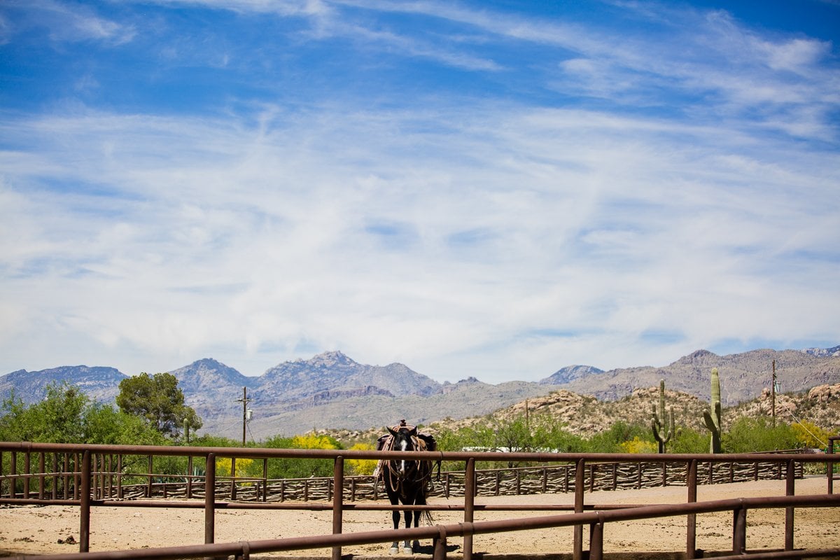 Spring Breakin’ Tucson Style At Tanque Verde Ranch Spring Breakin’ Tucson Style At Tanque Verde Ranch