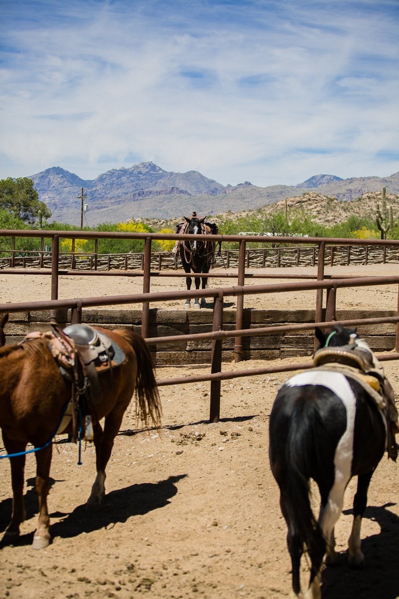 Spring Breakin’ Tucson Style At Tanque Verde Ranch Spring Breakin’ Tucson Style At Tanque Verde Ranch