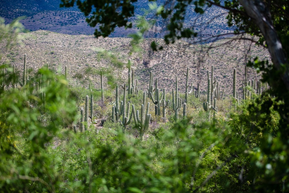 Spring Breakin’ Tucson Style At Tanque Verde Ranch Spring Breakin’ Tucson Style At Tanque Verde Ranch