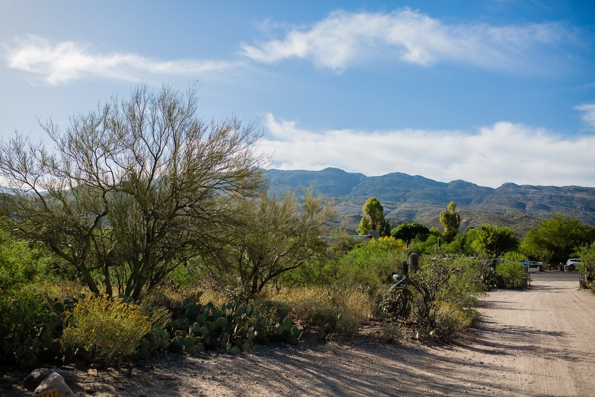 Spring Breakin’ Tucson Style At Tanque Verde Ranch Spring Breakin’ Tucson Style At Tanque Verde Ranch