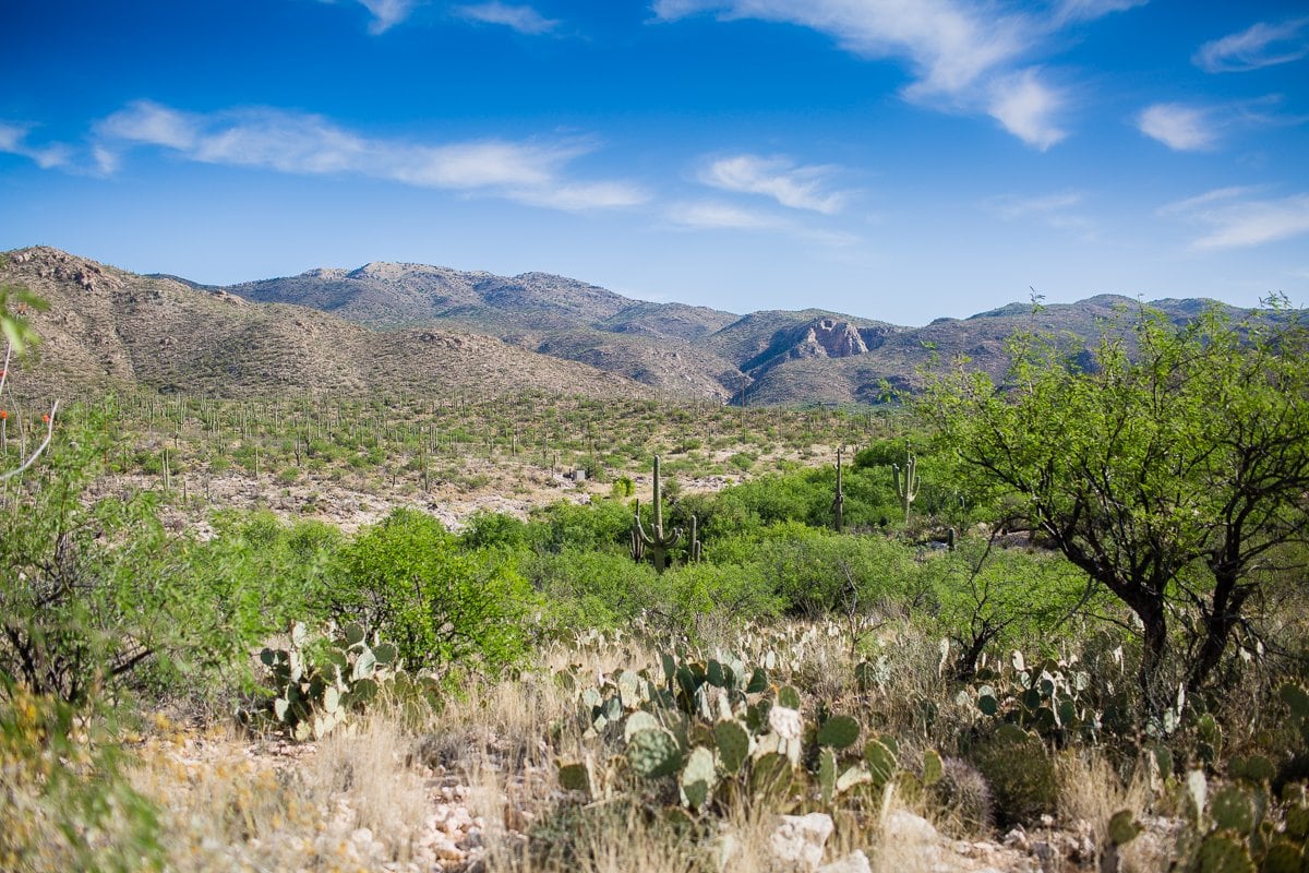 Spring Breakin’ Tucson Style At Tanque Verde Ranch Spring Breakin’ Tucson Style At Tanque Verde Ranch