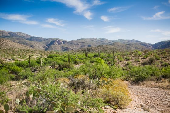 Spring Breakin’ Tucson Style At Tanque Verde Ranch Spring Breakin’ Tucson Style At Tanque Verde Ranch