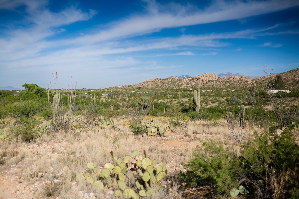 Spring Breakin’ Tucson Style At Tanque Verde Ranch Spring Breakin’ Tucson Style At Tanque Verde Ranch