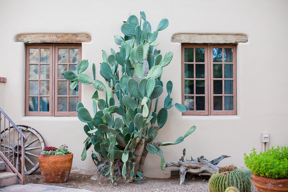 Spring Breakin’ Tucson Style At Tanque Verde Ranch Spring Breakin’ Tucson Style At Tanque Verde Ranch