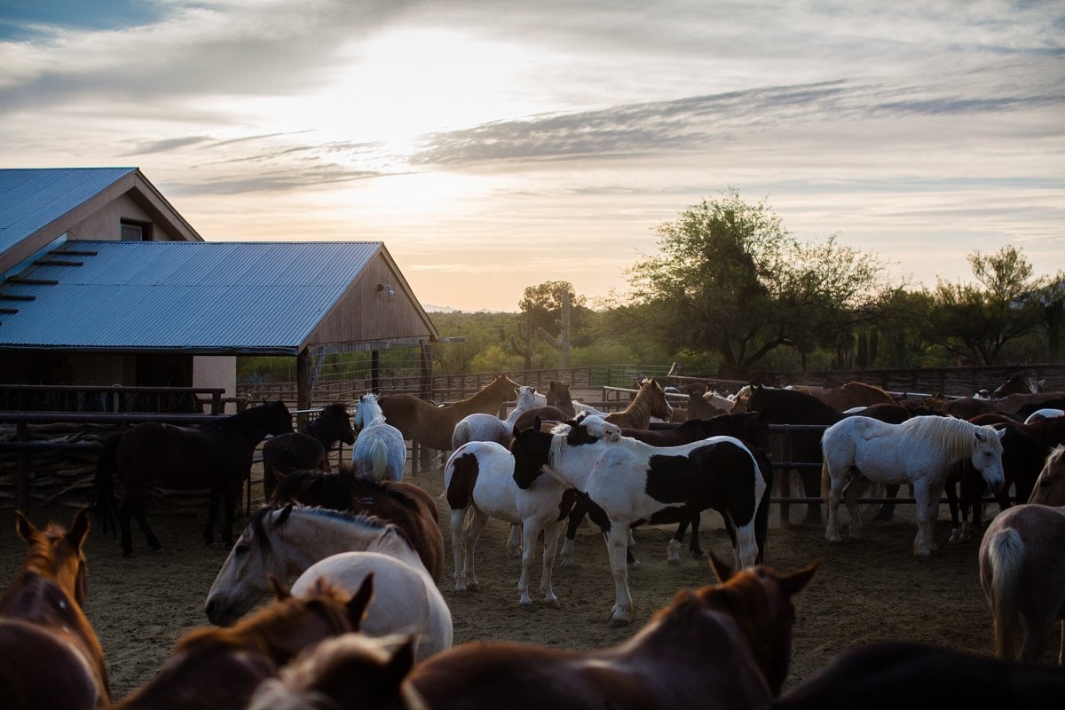 Spring Breakin’ Tucson Style At Tanque Verde Ranch Spring Breakin’ Tucson Style At Tanque Verde Ranch