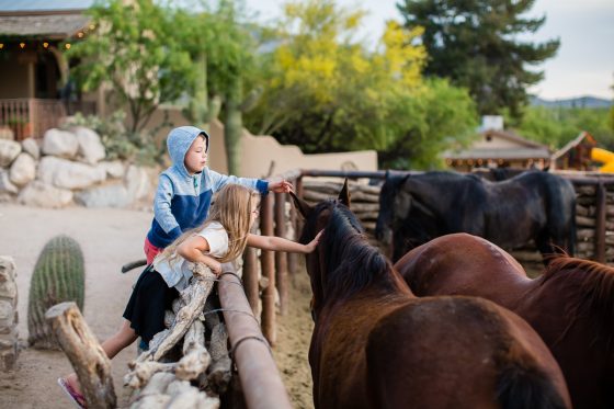 The Daily Mom Travel Diary: Our 3 Days At The Best Dude Ranch In Arizona The Daily Mom Travel Diary: Our 3 Days At The Best Dude Ranch In Arizona