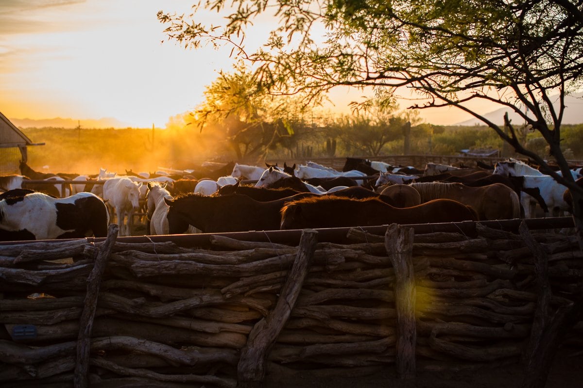 Spring Breakin’ Tucson Style At Tanque Verde Ranch Spring Breakin’ Tucson Style At Tanque Verde Ranch
