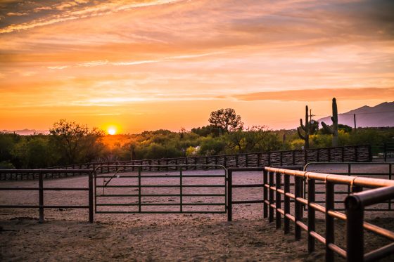 Spring Breakin’ Tucson Style At Tanque Verde Ranch Spring Breakin’ Tucson Style At Tanque Verde Ranch