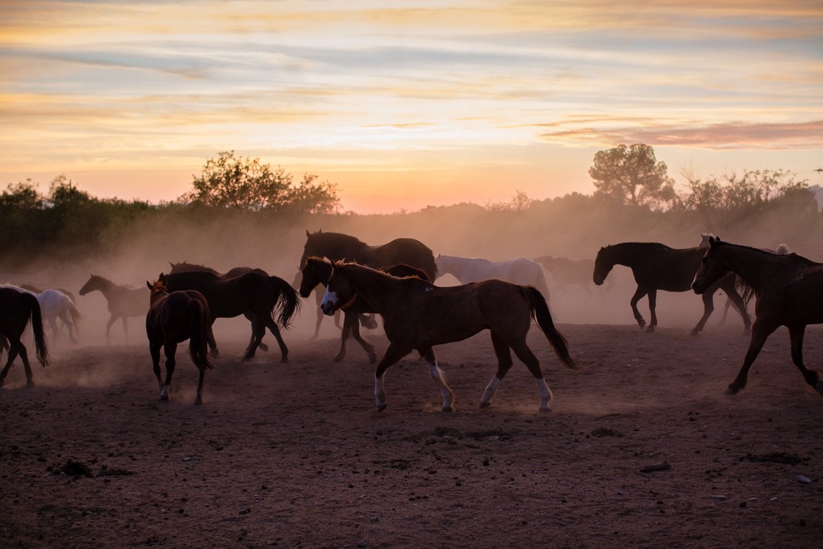 Spring Breakin’ Tucson Style At Tanque Verde Ranch Spring Breakin’ Tucson Style At Tanque Verde Ranch
