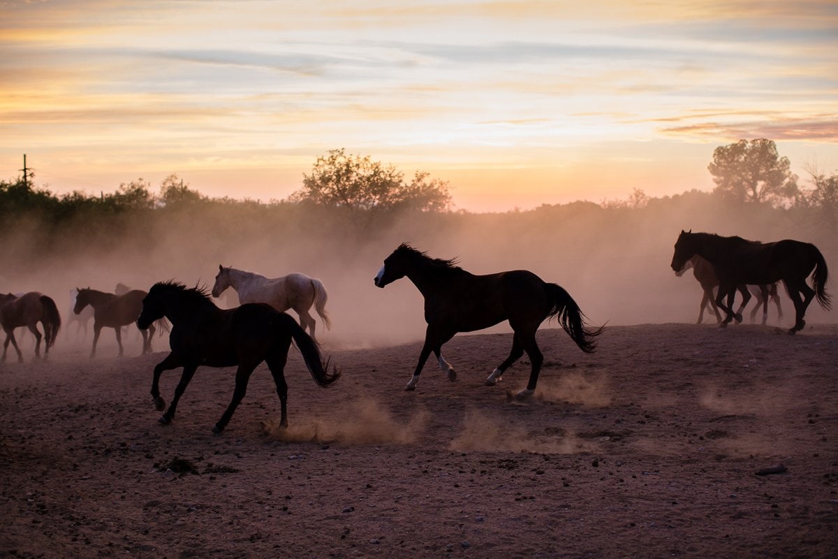 Spring Breakin’ Tucson Style At Tanque Verde Ranch Spring Breakin’ Tucson Style At Tanque Verde Ranch