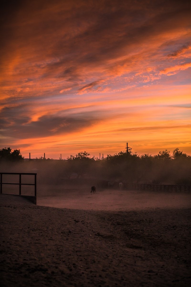 Spring Breakin’ Tucson Style At Tanque Verde Ranch Spring Breakin’ Tucson Style At Tanque Verde Ranch