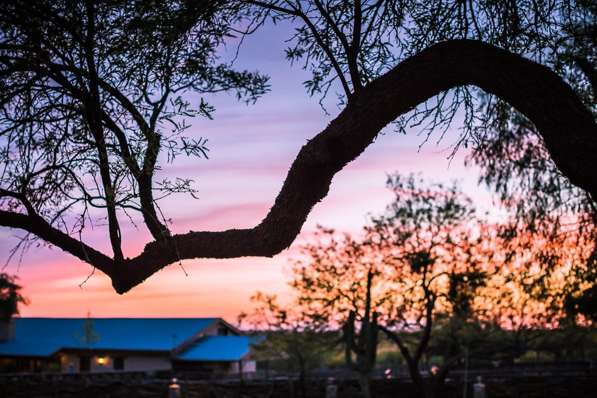 Spring Breakin’ Tucson Style At Tanque Verde Ranch Spring Breakin’ Tucson Style At Tanque Verde Ranch