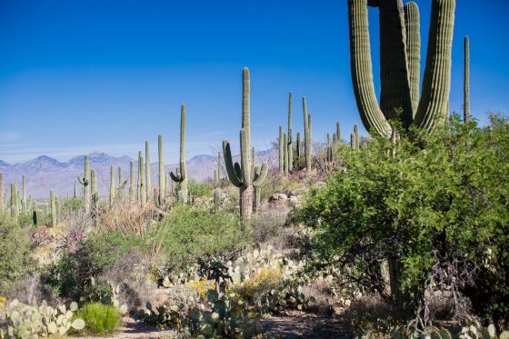 The Daily Mom Travel Diary: Our 3 Days At The Best Dude Ranch In Arizona The Daily Mom Travel Diary: Our 3 Days At The Best Dude Ranch In Arizona