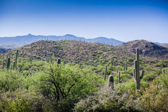The Daily Mom Travel Diary: Our 3 Days At The Best Dude Ranch In Arizona The Daily Mom Travel Diary: Our 3 Days At The Best Dude Ranch In Arizona