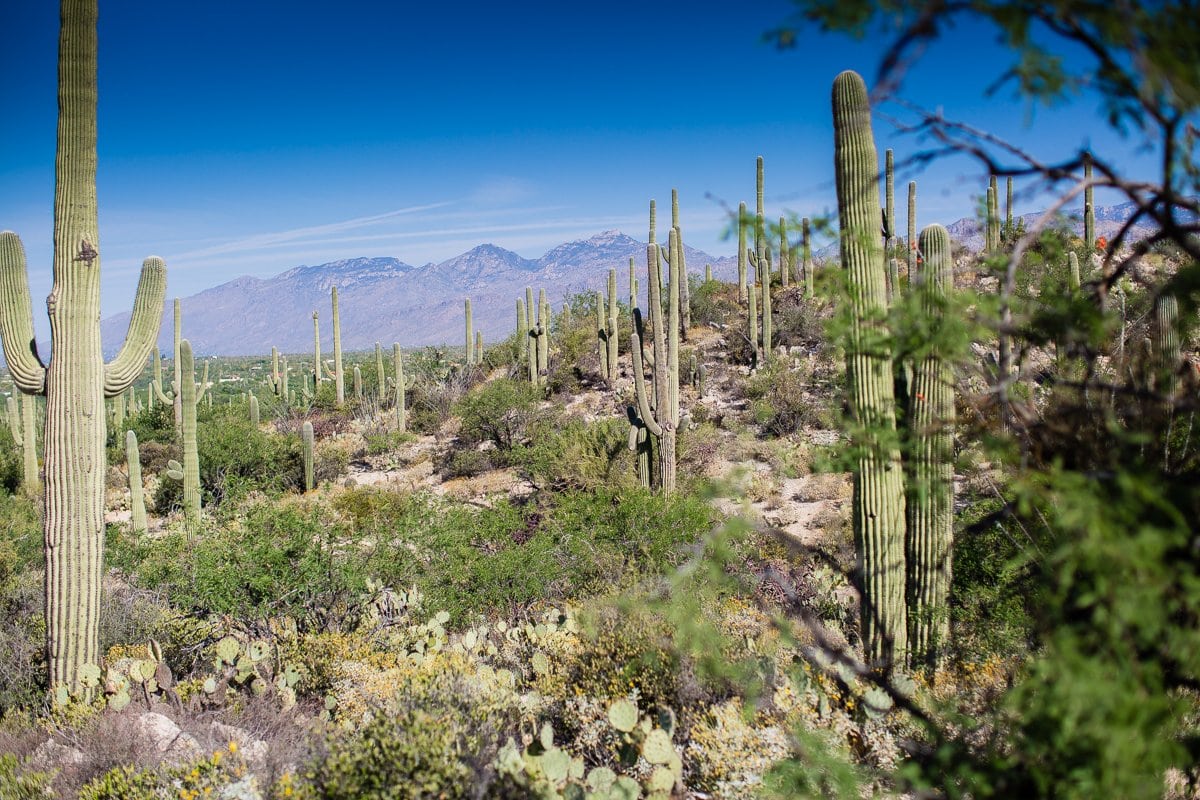 Spring Breakin’ Tucson Style At Tanque Verde Ranch Spring Breakin’ Tucson Style At Tanque Verde Ranch