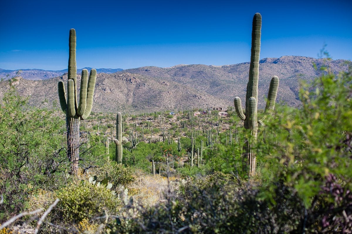 Spring Breakin’ Tucson Style At Tanque Verde Ranch Spring Breakin’ Tucson Style At Tanque Verde Ranch
