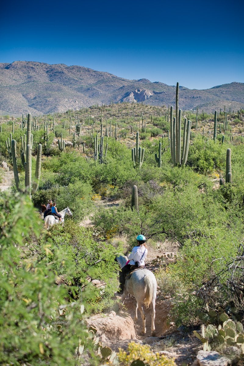 The Daily Mom Travel Diary: Our 3 Days At The Best Dude Ranch In Arizona The Daily Mom Travel Diary: Our 3 Days At The Best Dude Ranch In Arizona