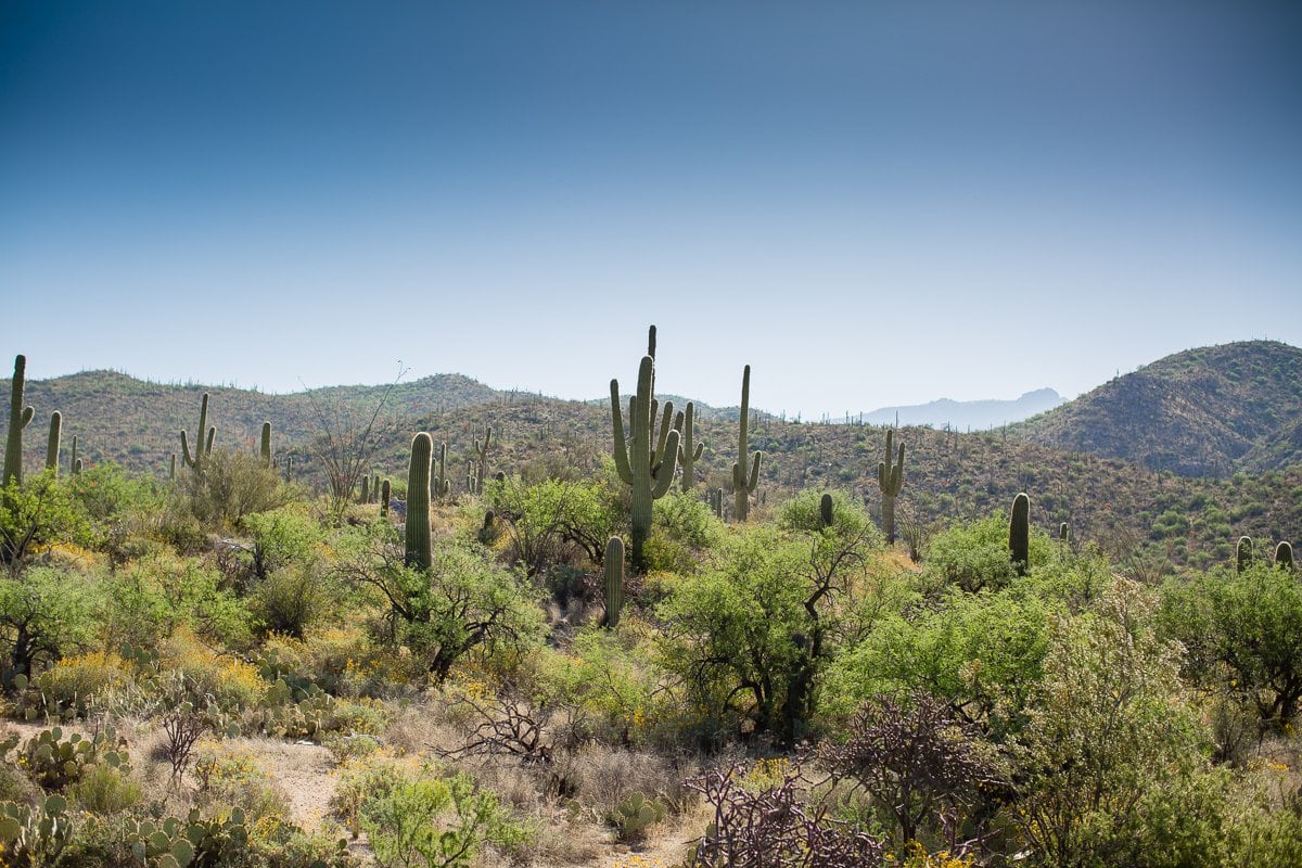 Spring Breakin’ Tucson Style At Tanque Verde Ranch Spring Breakin’ Tucson Style At Tanque Verde Ranch