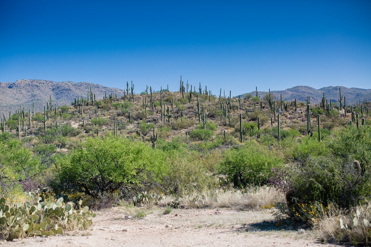 Spring Breakin’ Tucson Style At Tanque Verde Ranch Spring Breakin’ Tucson Style At Tanque Verde Ranch