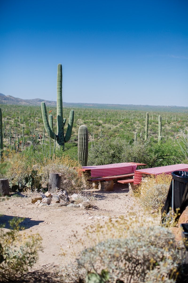 Spring Breakin’ Tucson Style At Tanque Verde Ranch Spring Breakin’ Tucson Style At Tanque Verde Ranch