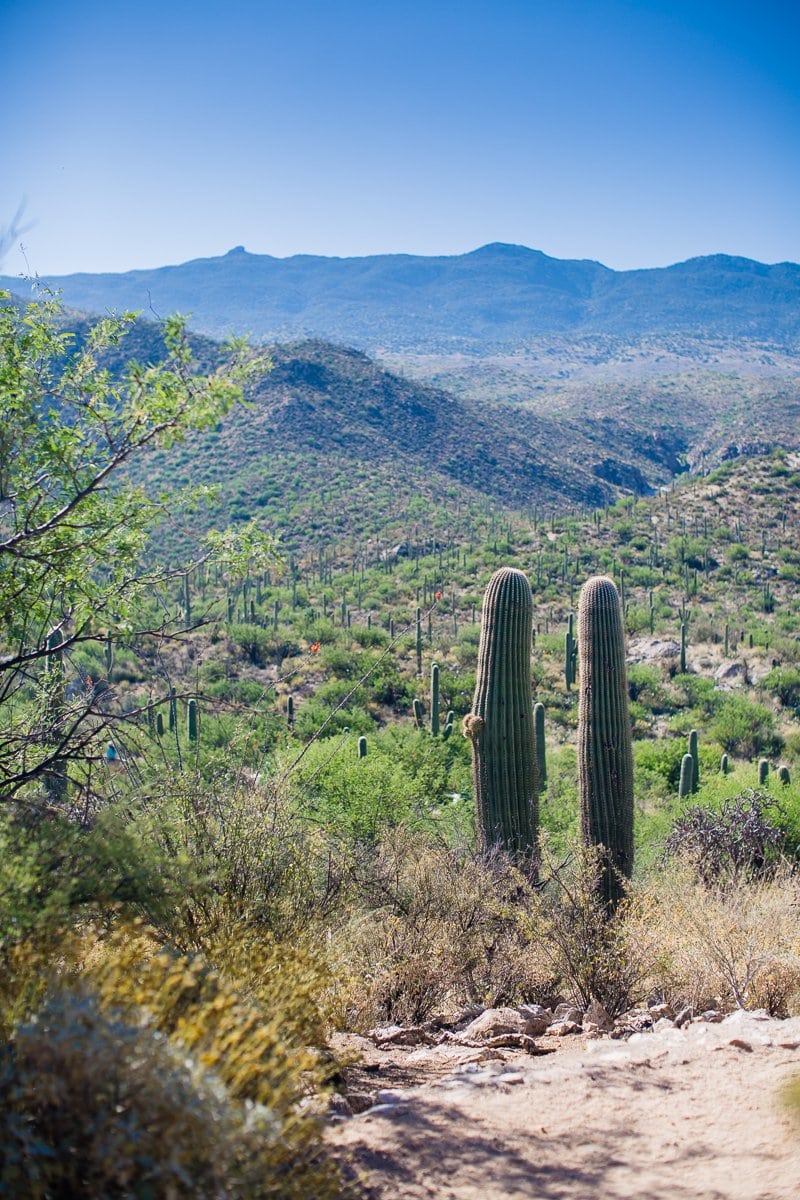 Spring Breakin’ Tucson Style At Tanque Verde Ranch Spring Breakin’ Tucson Style At Tanque Verde Ranch