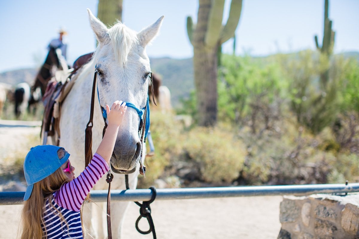 The Daily Mom Travel Diary: Our 3 Days At The Best Dude Ranch In Arizona The Daily Mom Travel Diary: Our 3 Days At The Best Dude Ranch In Arizona