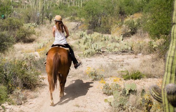 The Daily Mom Travel Diary: Our 3 Days At The Best Dude Ranch In Arizona The Daily Mom Travel Diary: Our 3 Days At The Best Dude Ranch In Arizona