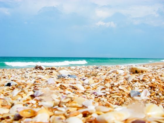 Things To Do In Naples That Even Locals Enjoy Things To Do In Naples That Even Locals Enjoy