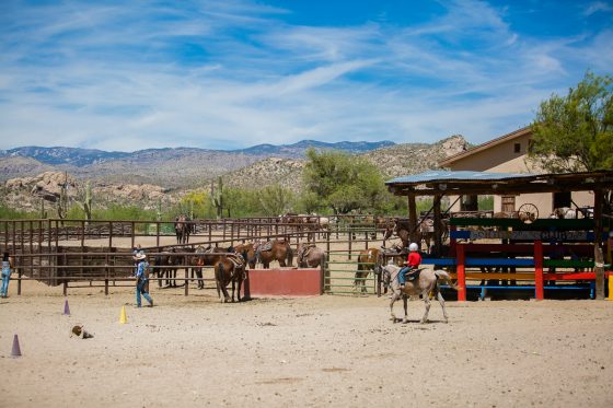 Kid Friendly Places To Stay & Dine While Road-tripping Through Arizona