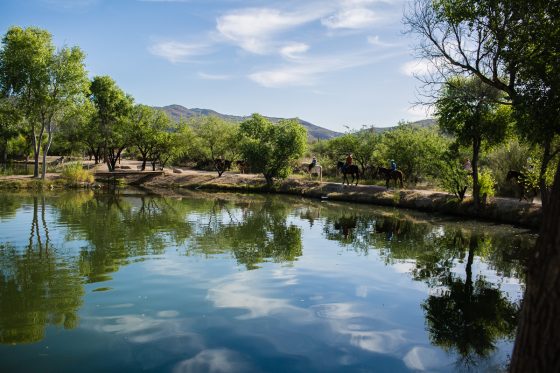 Kid Friendly Places To Stay & Dine While Road-tripping Through Arizona