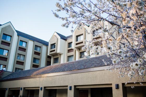 Kid Friendly Places To Stay & Dine While Road-tripping Through Arizona