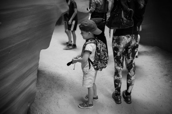 The Bucket List For A Family Friendly Vacation Through Arizona