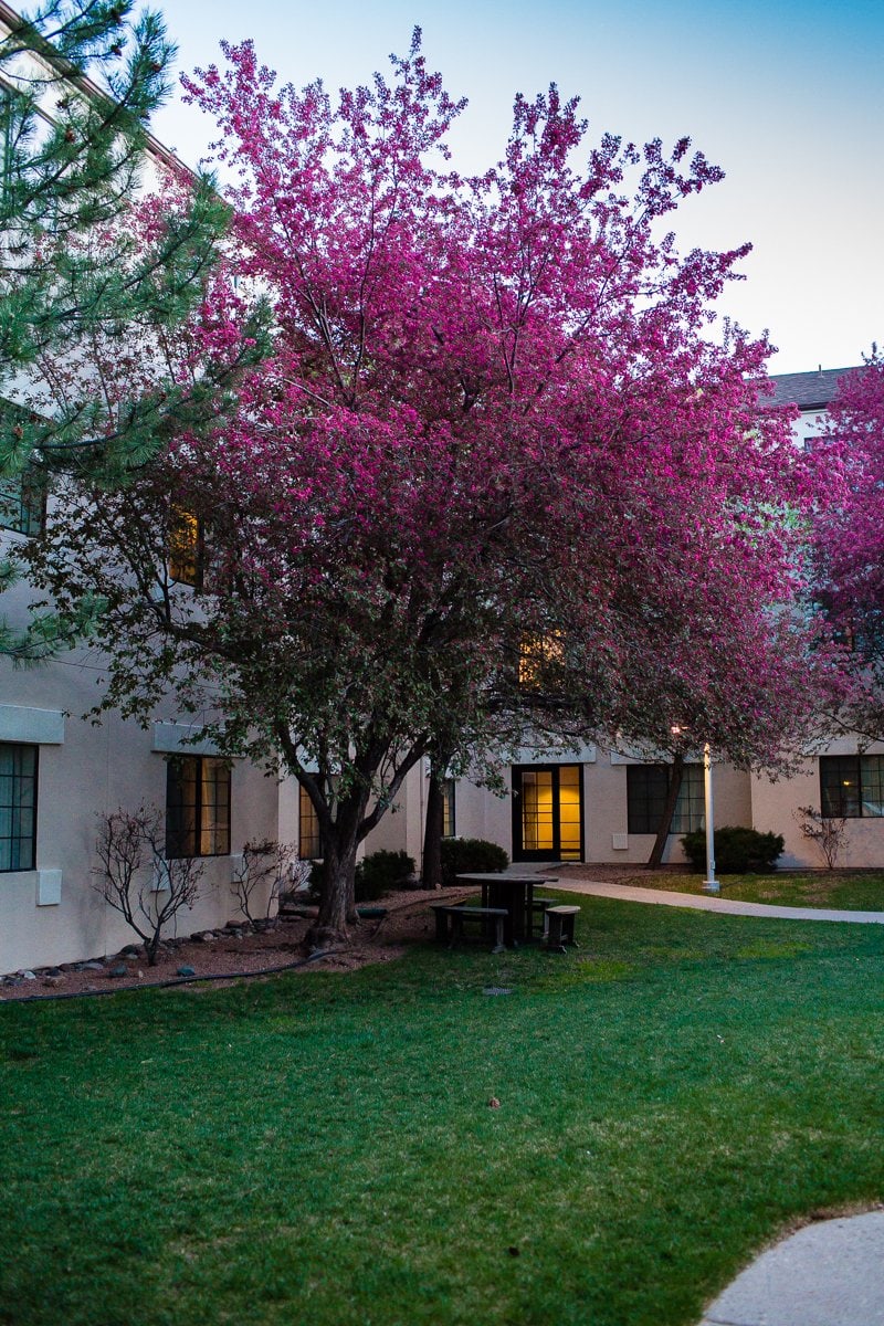 Kid Friendly Places To Stay & Dine While Road-tripping Through Arizona