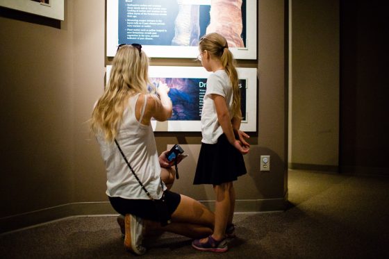 The Bucket List For A Family Friendly Vacation Through Arizona