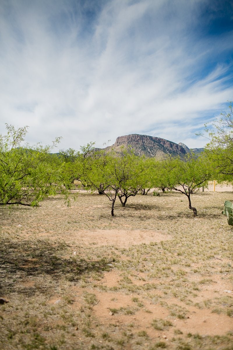 The Bucket List For A Family Friendly Vacation Through Arizona
