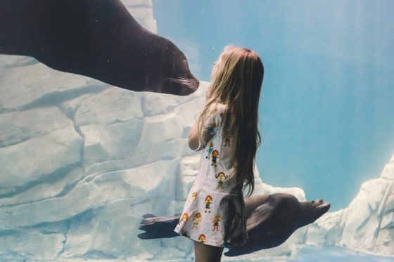 The Bucket List For A Family Friendly Vacation Through Arizona