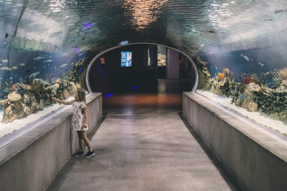 The Bucket List For A Family Friendly Vacation Through Arizona