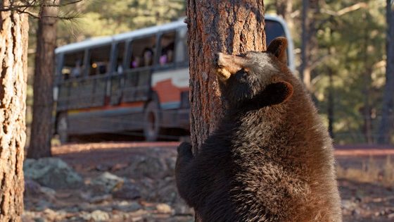 The Bucket List For A Family Friendly Vacation Through Arizona