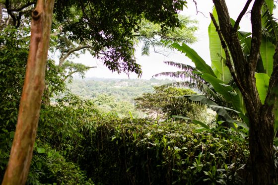 Top 3 Places To Stay While Traveling Through Costa Rica