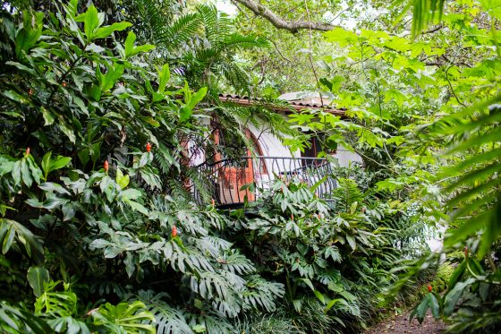 Top 3 Places To Stay While Traveling Through Costa Rica