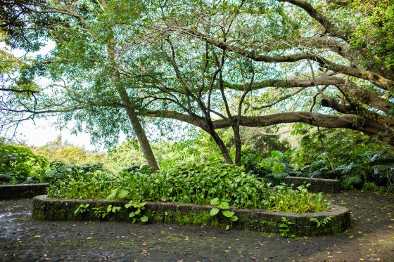 Top 3 Places To Stay While Traveling Through Costa Rica