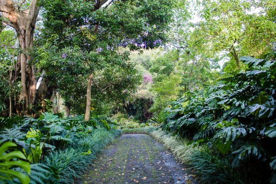 Top 3 Places To Stay While Traveling Through Costa Rica