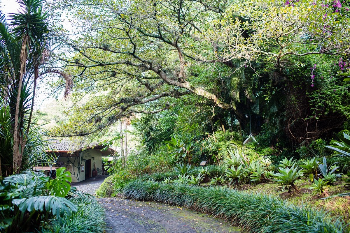 Top 3 Places To Stay While Traveling Through Costa Rica