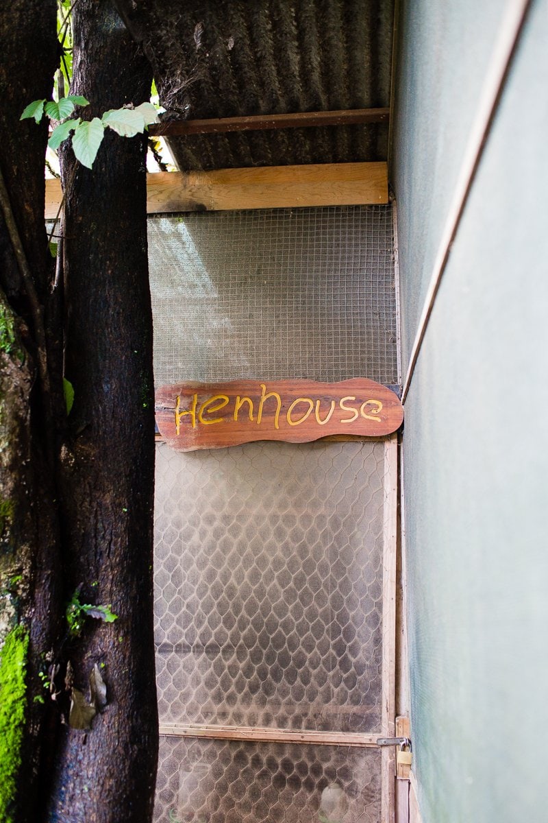 Top 3 Places To Stay While Traveling Through Costa Rica