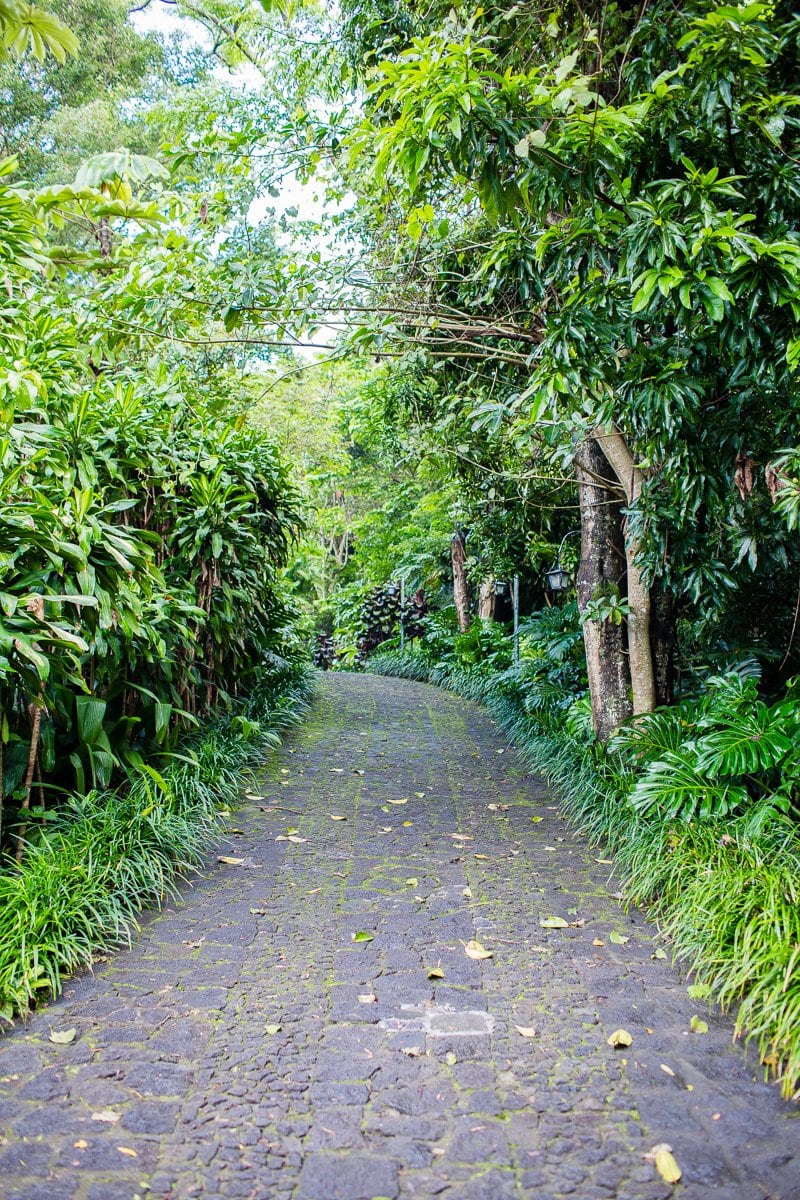 Top 3 Places To Stay While Traveling Through Costa Rica