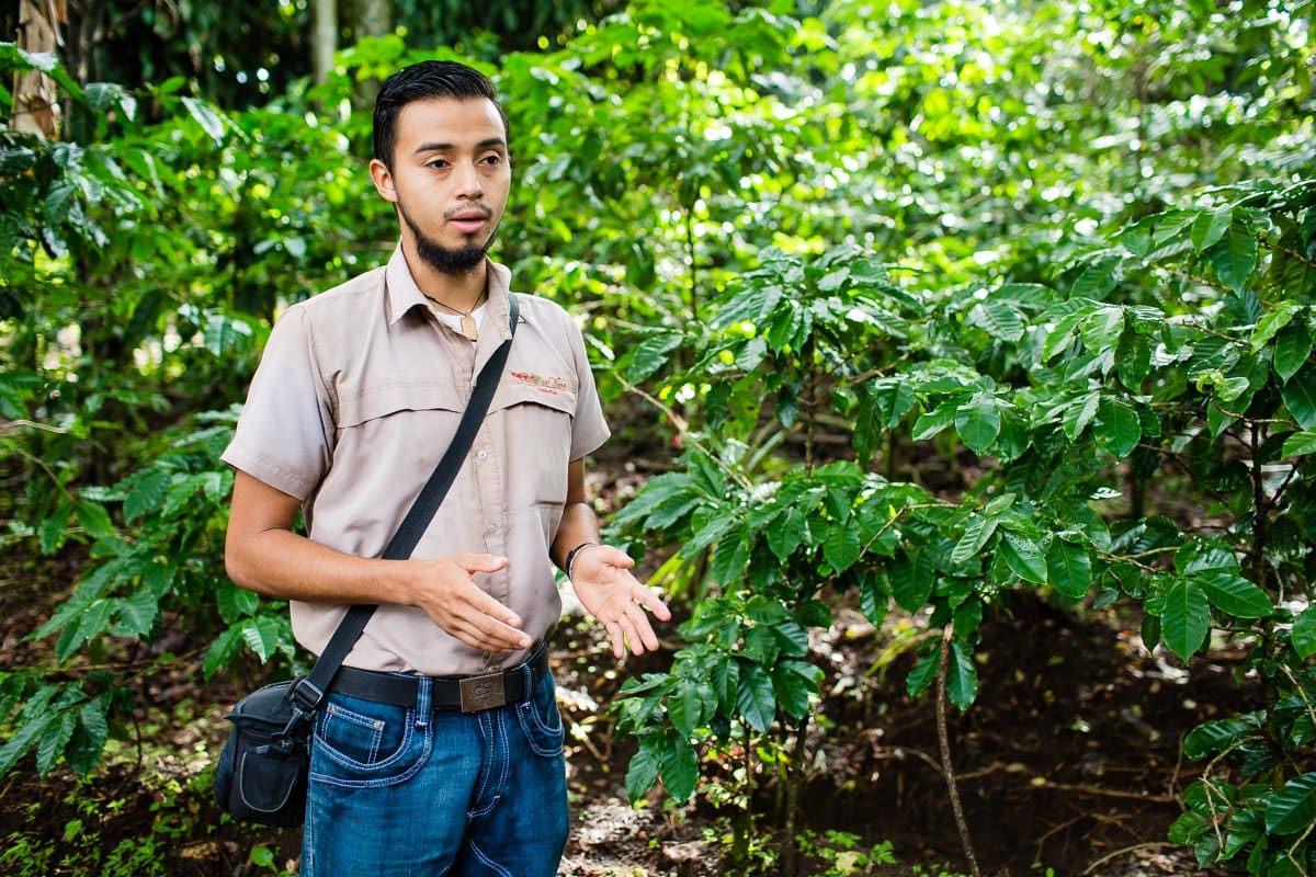 Top 3 Places To Stay While Traveling Through Costa Rica