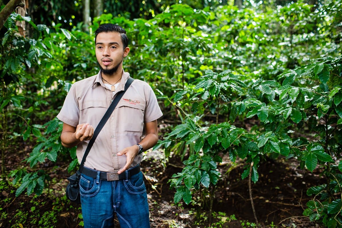 Top 3 Places To Stay While Traveling Through Costa Rica