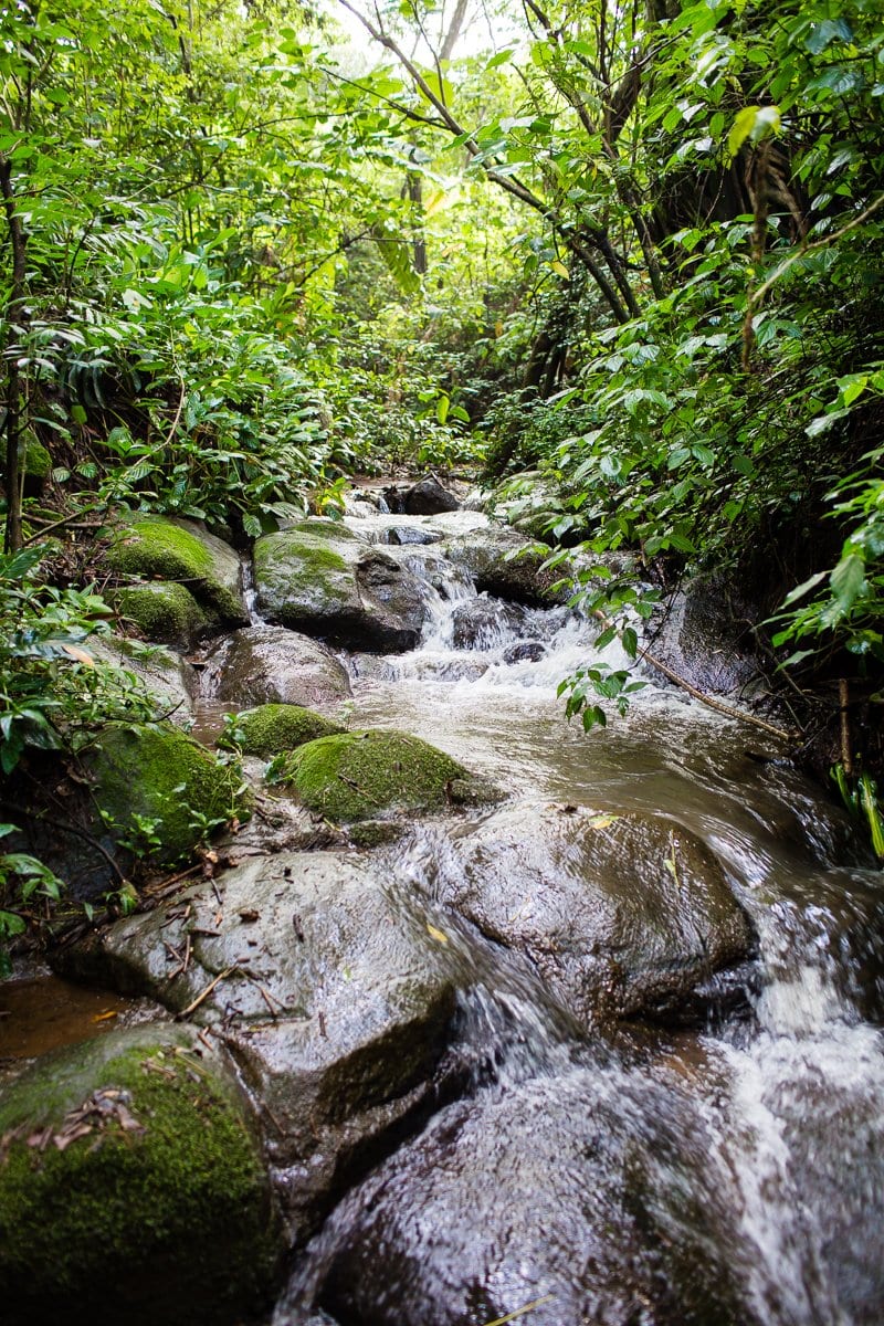 Top 3 Places To Stay While Traveling Through Costa Rica