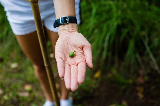 Top 3 Places To Stay While Traveling Through Costa Rica